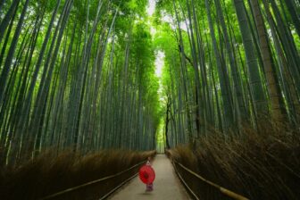 Arashiyama