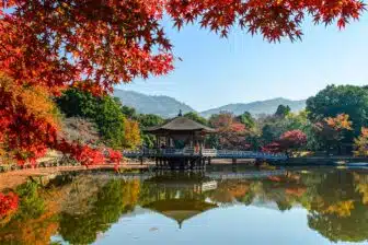Nara - Kyoto