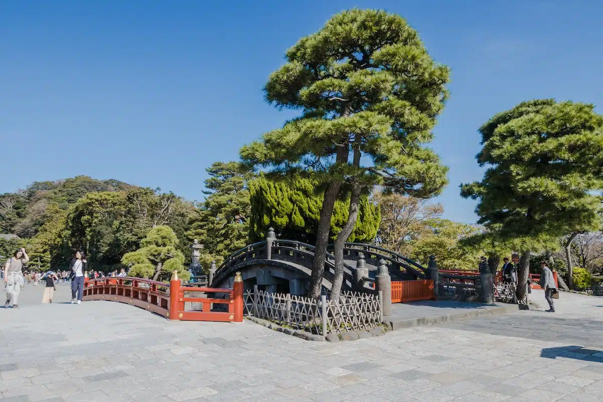 Japan - Kamakura - Tsurugaoka Hachiman-gu 3