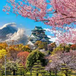 Japan - Osaka - Osaka Castle 1